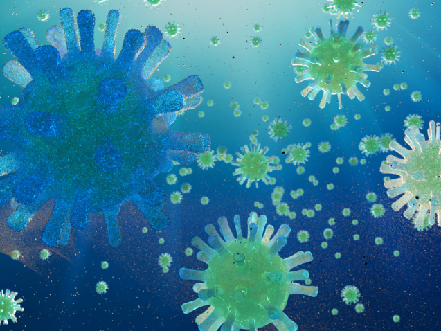 Ben's Announcement - Corona