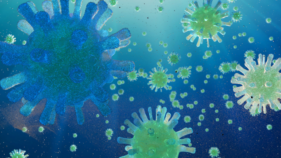 Ben's Announcement - Corona